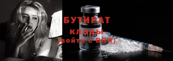 гидра Богородск