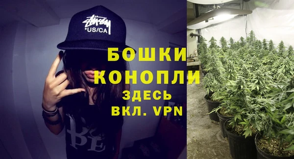 гидра Богородск