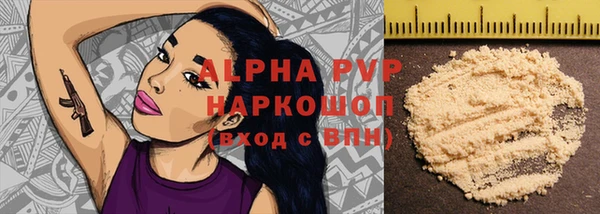 гидра Богородск