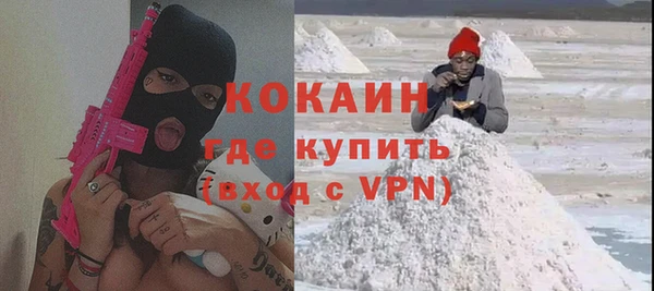 гидра Богородск