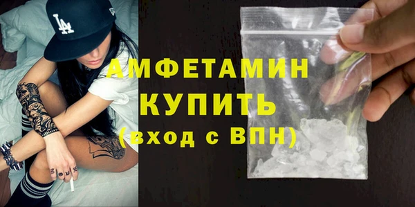 гидра Богородск