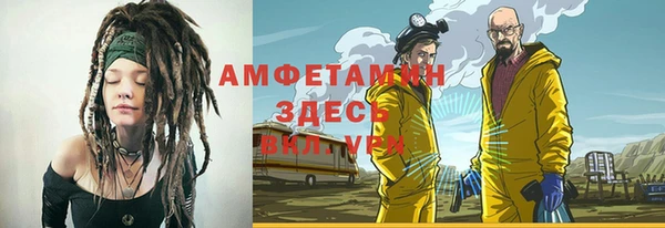 гидра Богородск