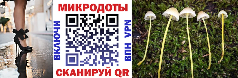 Псилоцибиновые грибы Psilocybe Кущёвская